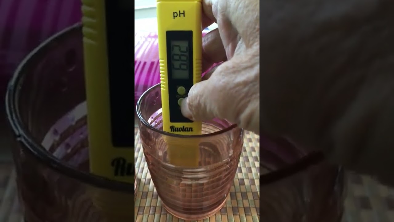 Beste Bodem pH-meters van 2024: Vergelijking, Tips en Koopgids 1 bodem phmeters