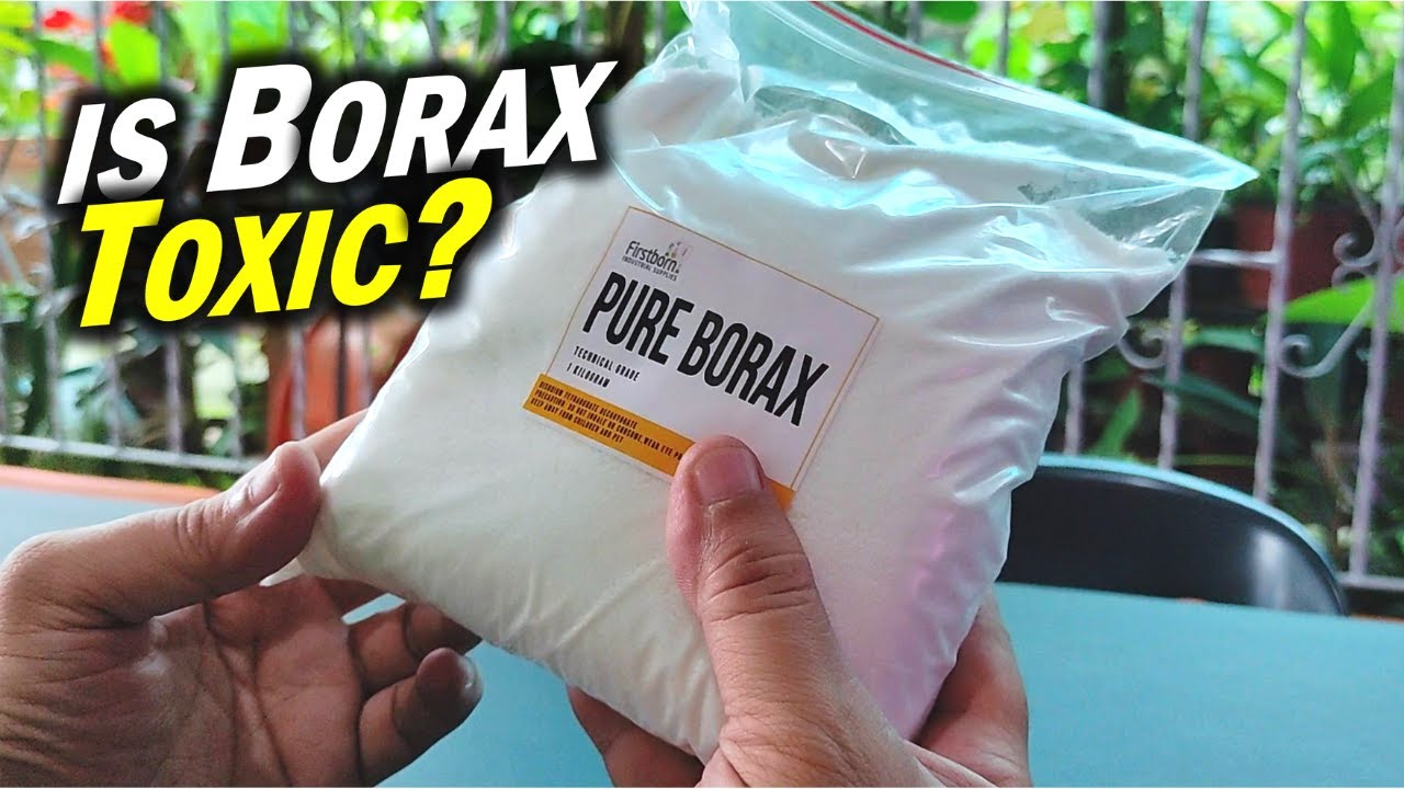 Borax Spanje: Alles Wat Je Moet Weten Over Borax Gebruik en Veiligheid 1 borax spanje