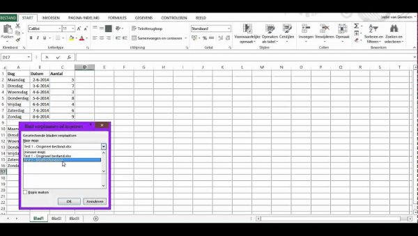 Een Excel blad kopiëren: Zo doe je het snel en eenvoudig uitleggen