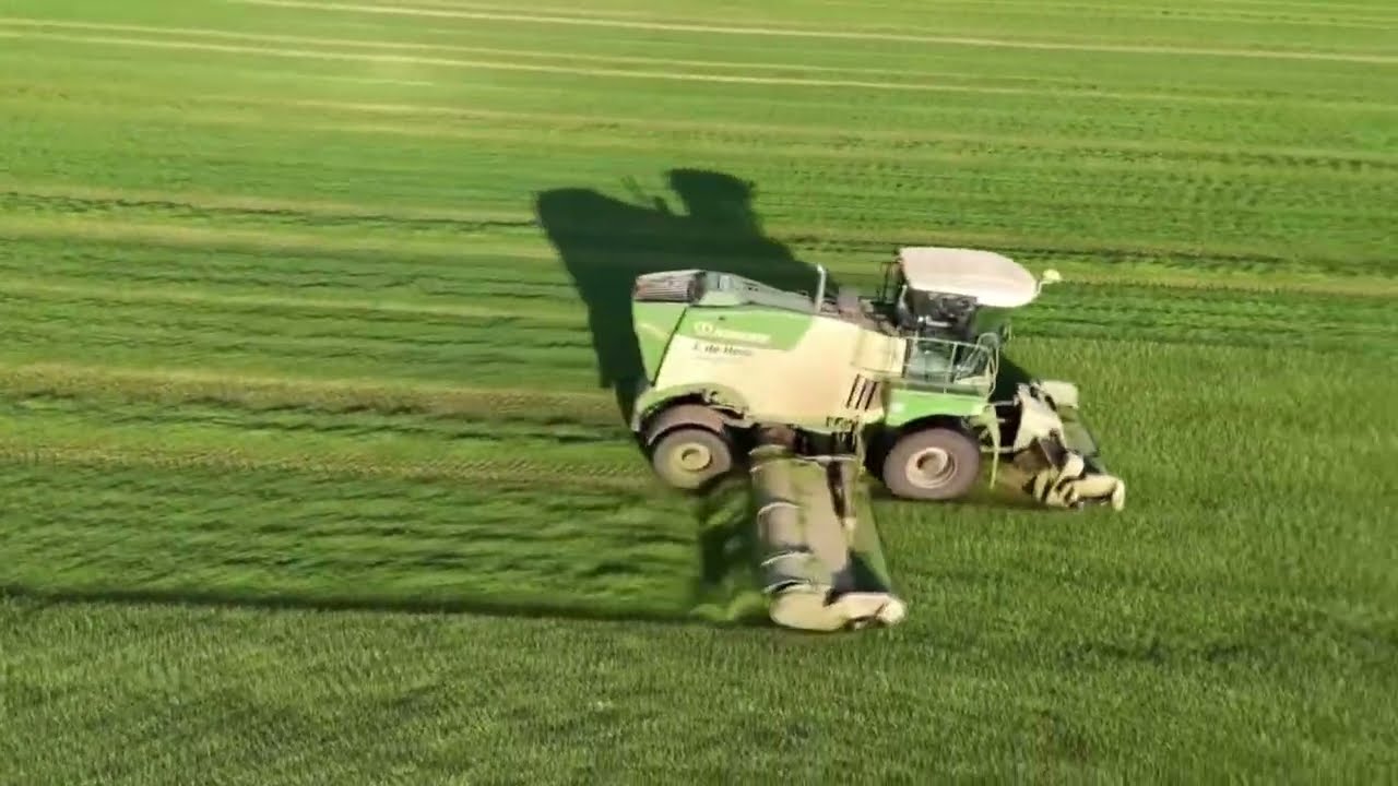 Gras Maaien: De Ultieme Gids voor Perfect Onderhouden Grasvelden 1 gras maaien