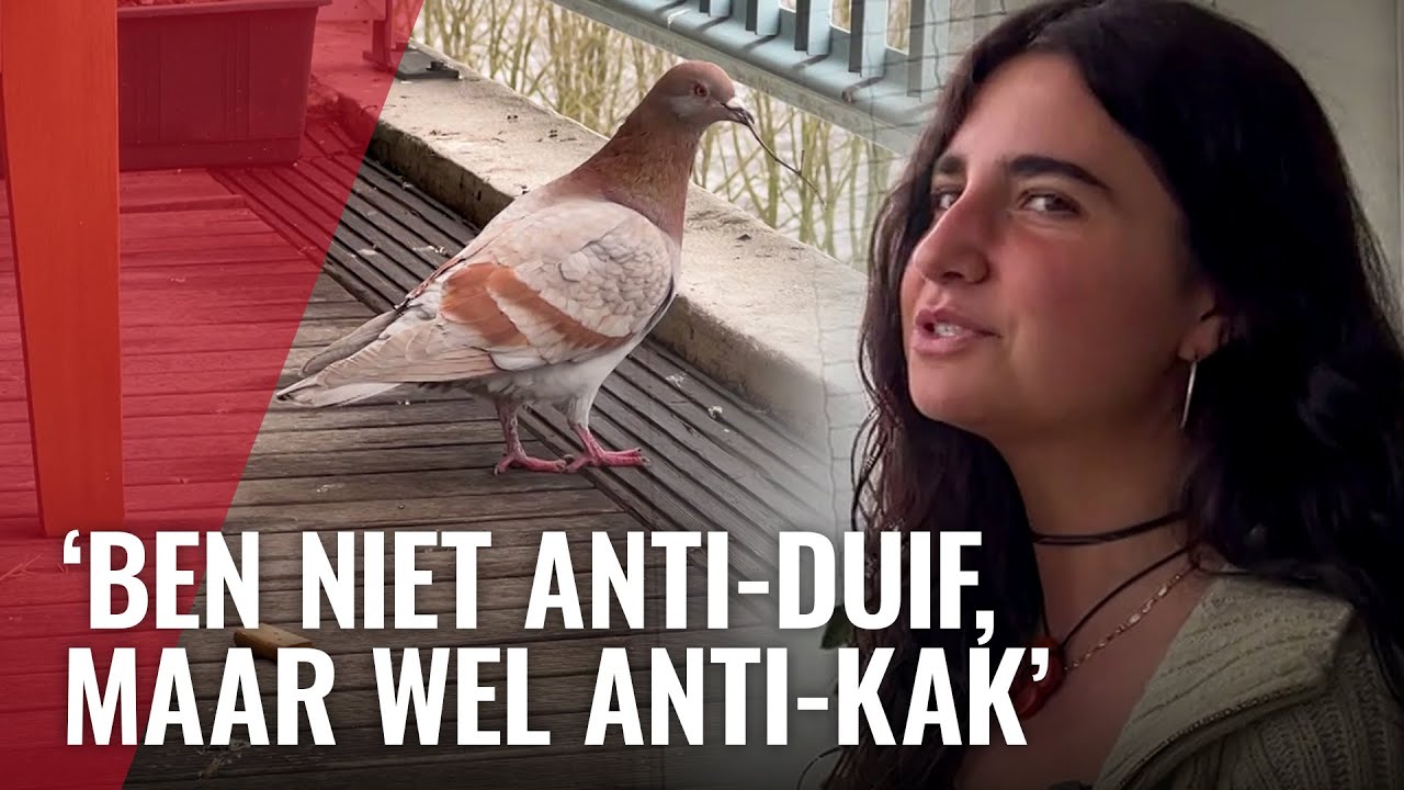 Hoe een duivennest te verwijderen: de ultieme gids voor effectieve en veilige verwijdering 1 hoe een duivennest te verwijderen