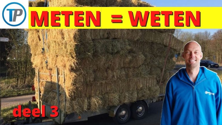 Hoe Lang Mag Een Auto Zijn