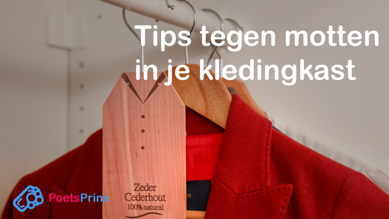 Beste tips om motten van kleding te voorkomen en te bestrijden 1 motten van kleding