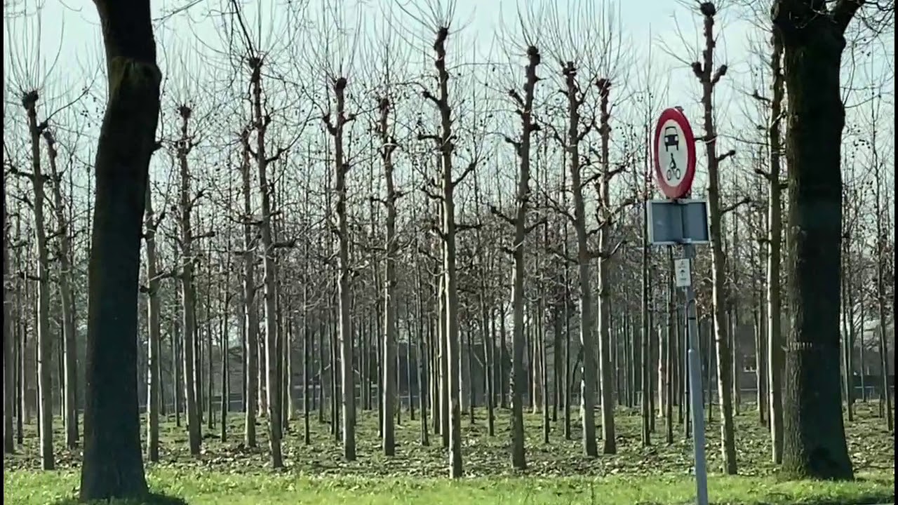 Wat is Buiten de Bebouwde Kom? Definitieve Uitleg en Belangrijke Verkeersregels 1 wat is buiten de bebouwde kom