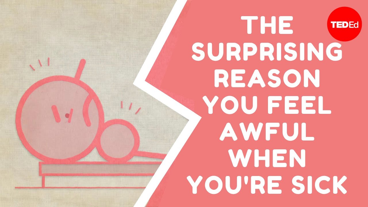 Wat Moet Je Doen Als Je Ziek Bent? Complete Gids Voor Herstel & Zorg 1 wat moet je doen als je ziek bent