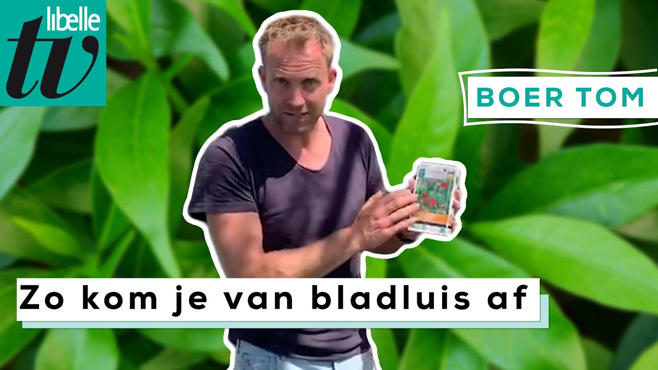 Zwarte Bladeren: Betekenis, Soorten en Tips voor Verzorging 1 zwarte bladeren